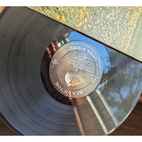 Country/Western Vinyl - Dolly Parton & More - Picture 4 of 5